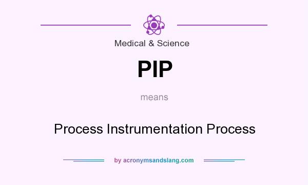 What does PIP mean? It stands for Process Instrumentation Process