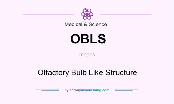 What does OBLS mean? It stands for Olfactory Bulb Like Structure