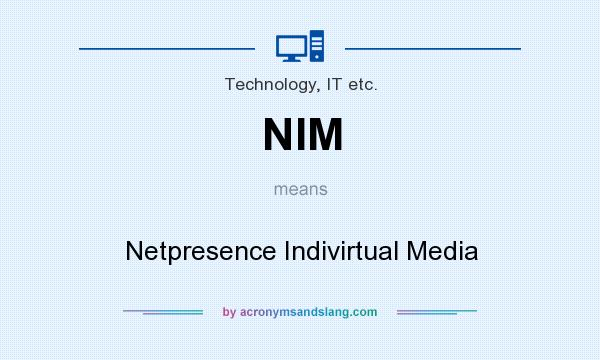 What does NIM mean? It stands for Netpresence Indivirtual Media
