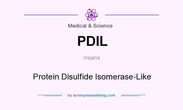 What does PDIL mean? It stands for Protein Disulfide Isomerase-Like