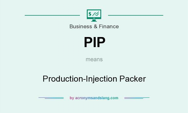 What does PIP mean? It stands for Production-Injection Packer