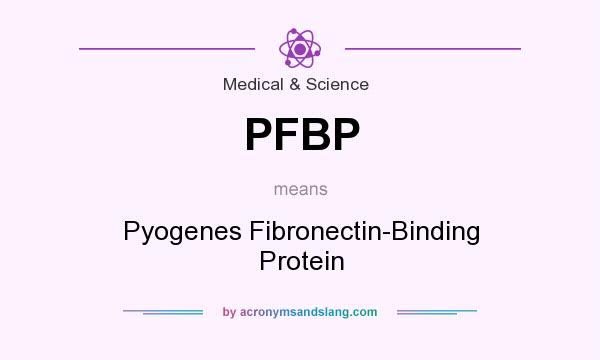 What does PFBP mean? It stands for Pyogenes Fibronectin-Binding Protein