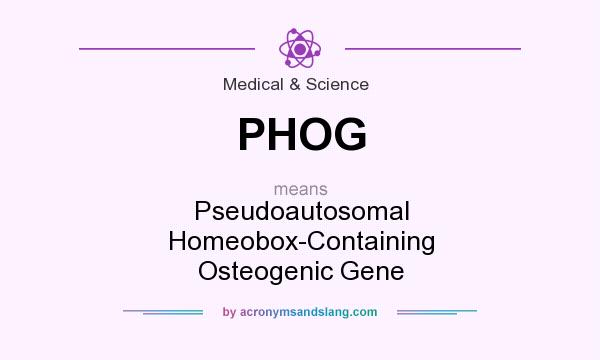 What does PHOG mean? It stands for Pseudoautosomal Homeobox-Containing Osteogenic Gene