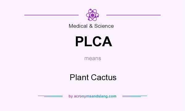 What does PLCA mean? It stands for Plant Cactus