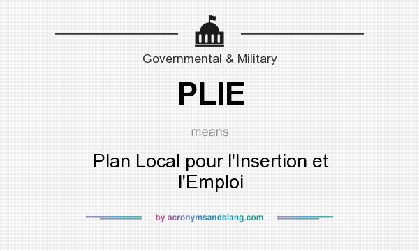 What does PLIE mean? It stands for Plan Local pour l`Insertion et l`Emploi