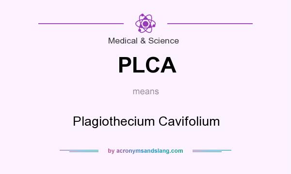 What does PLCA mean? It stands for Plagiothecium Cavifolium