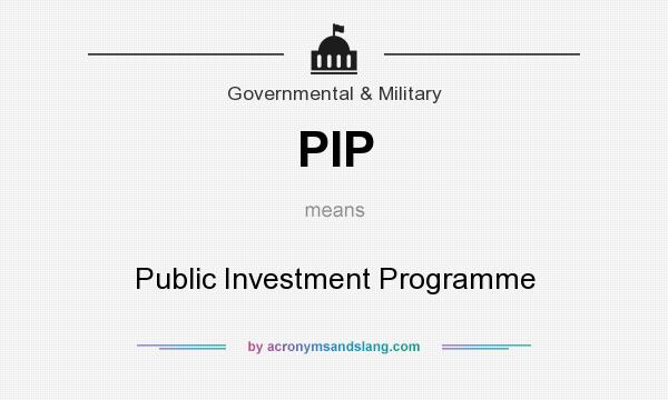 What does PIP mean? It stands for Public Investment Programme