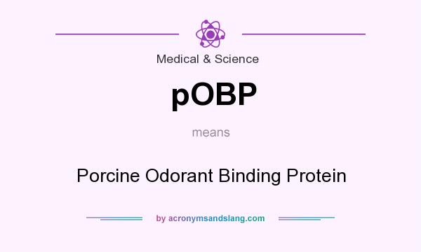 What does pOBP mean? It stands for Porcine Odorant Binding Protein