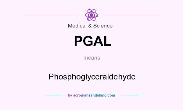 What does PGAL mean? It stands for Phosphoglyceraldehyde