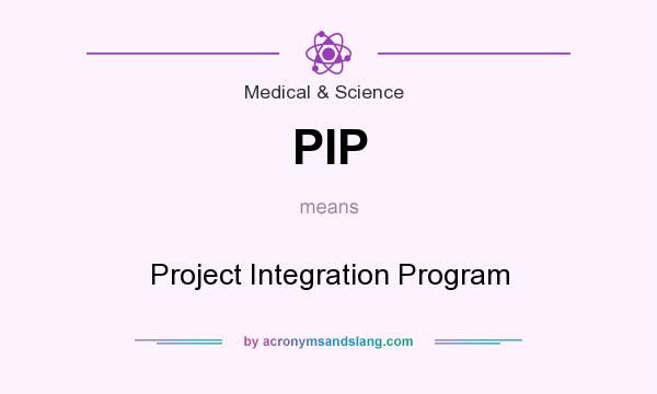 What does PIP mean? It stands for Project Integration Program