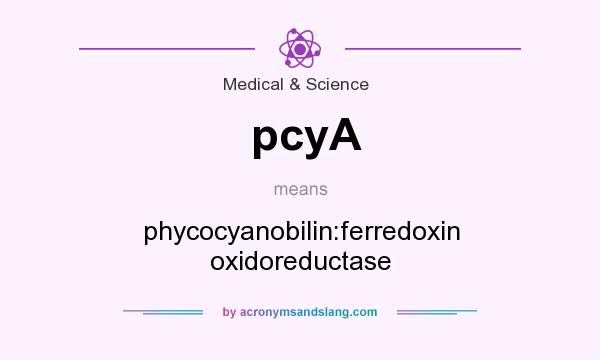 What does pcyA mean? It stands for phycocyanobilin:ferredoxin oxidoreductase