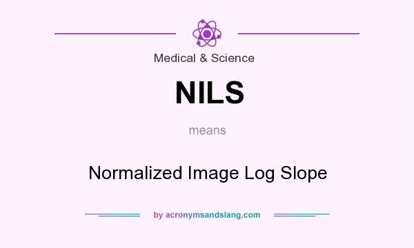 What does NILS mean? It stands for Normalized Image Log Slope