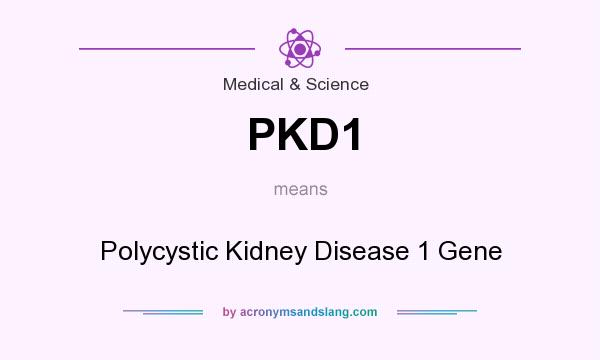 What does PKD1 mean? It stands for Polycystic Kidney Disease 1 Gene