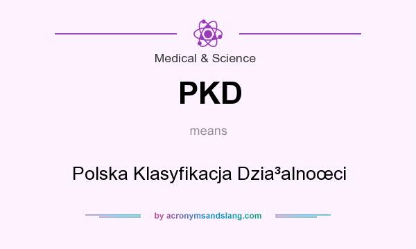 What does PKD mean? It stands for Polska Klasyfikacja Dzia³alnoœci