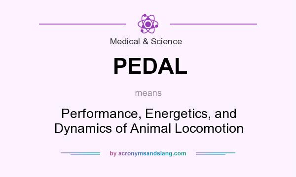 What does PEDAL mean? It stands for Performance, Energetics, and Dynamics of Animal Locomotion