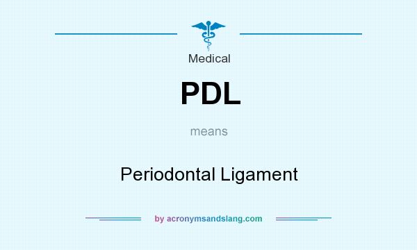 What does PDL mean? It stands for Periodontal Ligament