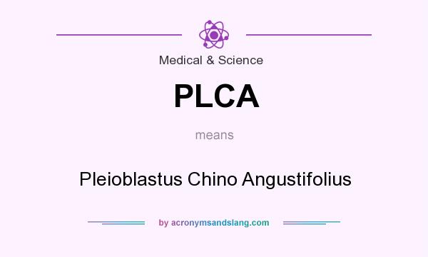 What does PLCA mean? It stands for Pleioblastus Chino Angustifolius