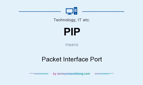 What does PIP mean? It stands for Packet Interface Port