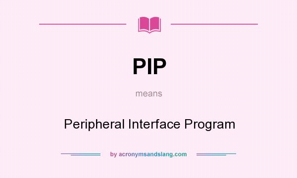 What does PIP mean? It stands for Peripheral Interface Program