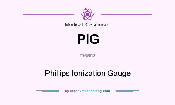 What does PIG mean? It stands for Phillips Ionization Gauge