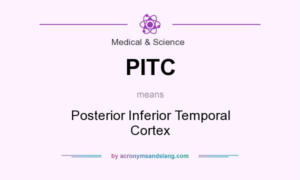 What does PITC mean? It stands for Posterior Inferior Temporal Cortex