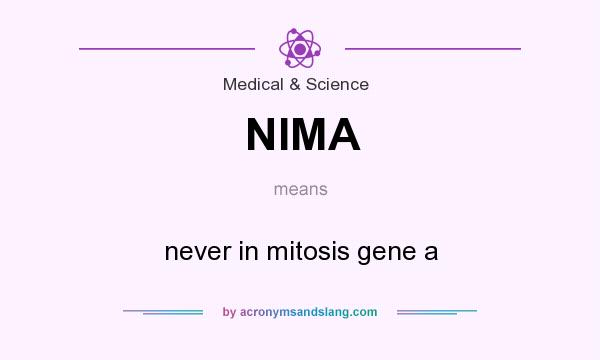 What does NIMA mean? It stands for never in mitosis gene a