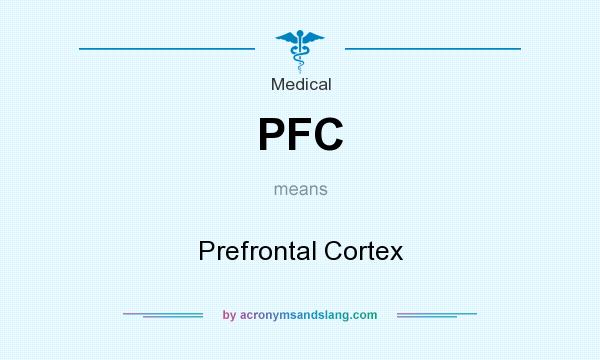 What does PFC mean? It stands for Prefrontal Cortex