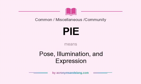 What does PIE mean? It stands for Pose, Illumination, and Expression