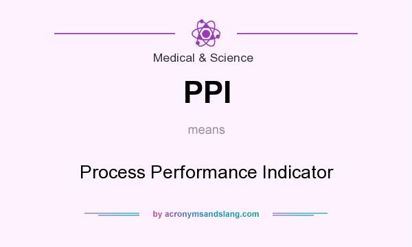 What does PPI mean? It stands for Process Performance Indicator