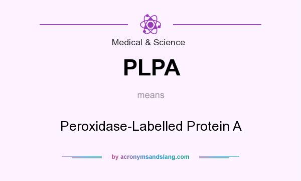 What does PLPA mean? It stands for Peroxidase-Labelled Protein A