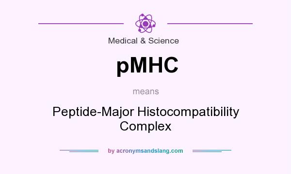 What does pMHC mean? It stands for Peptide-Major Histocompatibility Complex