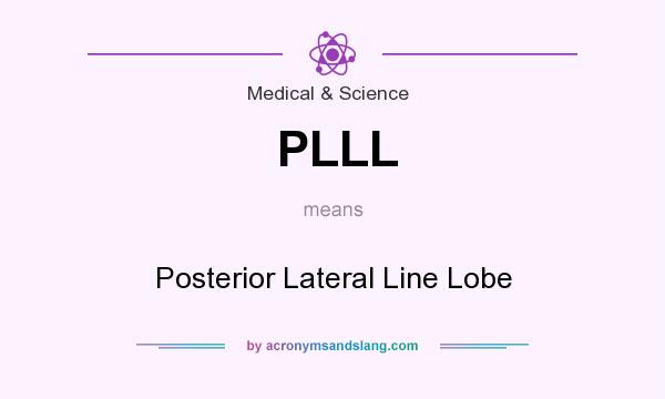 What does PLLL mean? It stands for Posterior Lateral Line Lobe