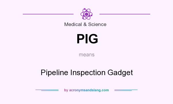 What does PIG mean? It stands for Pipeline Inspection Gadget
