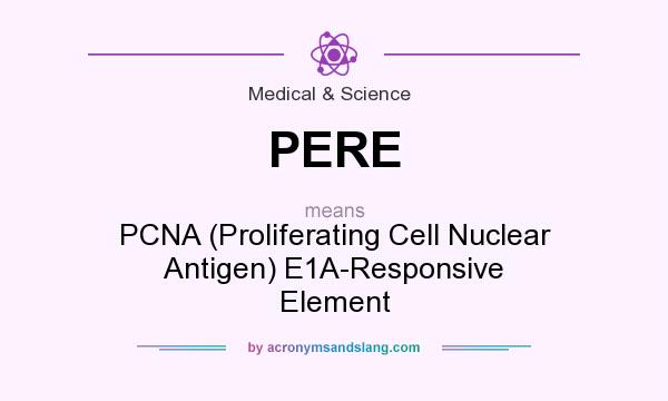 What does PERE mean? It stands for PCNA (Proliferating Cell Nuclear Antigen) E1A-Responsive Element