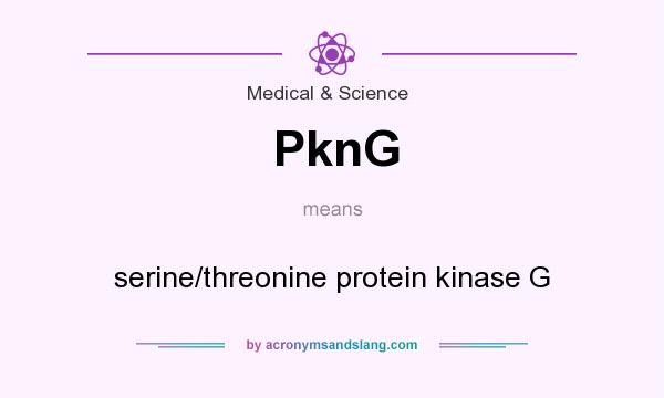 What does PknG mean? It stands for serine/threonine protein kinase G