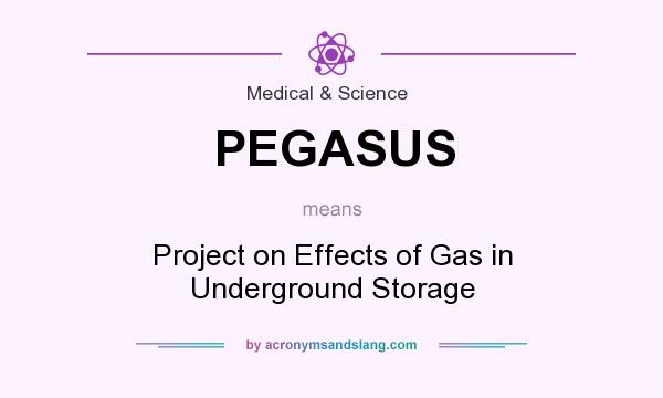 What does PEGASUS mean? It stands for Project on Effects of Gas in Underground Storage