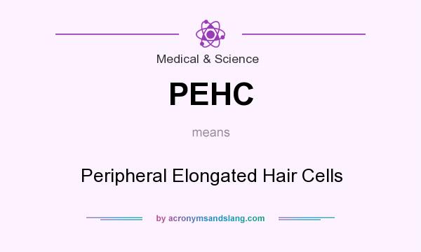 What does PEHC mean? It stands for Peripheral Elongated Hair Cells
