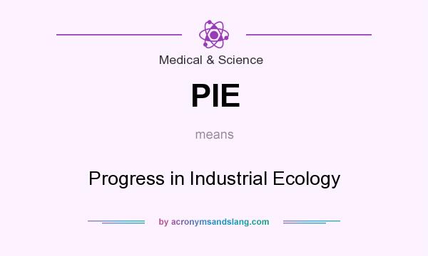 What does PIE mean? It stands for Progress in Industrial Ecology
