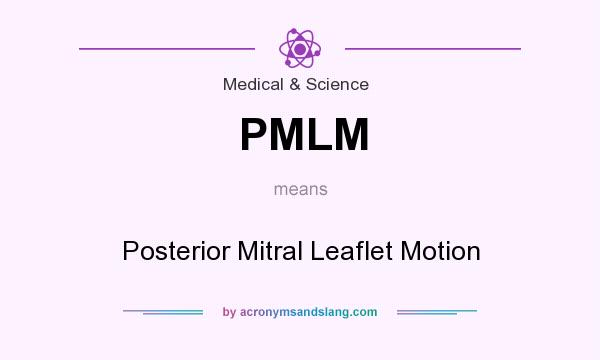 What does PMLM mean? It stands for Posterior Mitral Leaflet Motion