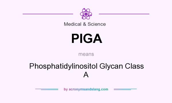 What does PIGA mean? It stands for Phosphatidylinositol Glycan Class A