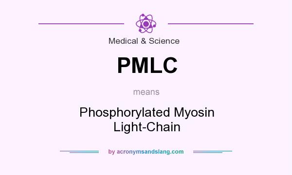 What does PMLC mean? It stands for Phosphorylated Myosin Light-Chain