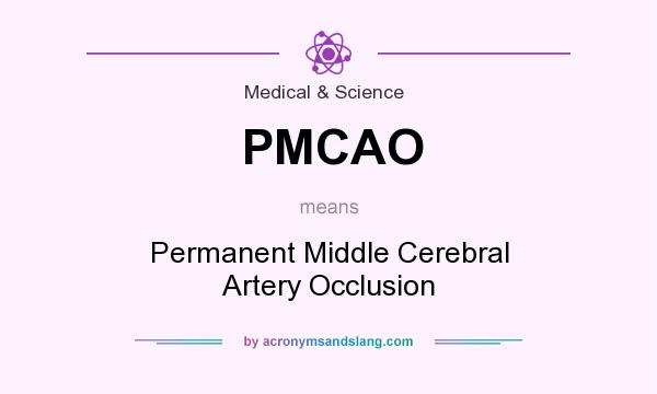 What does PMCAO mean? It stands for Permanent Middle Cerebral Artery Occlusion