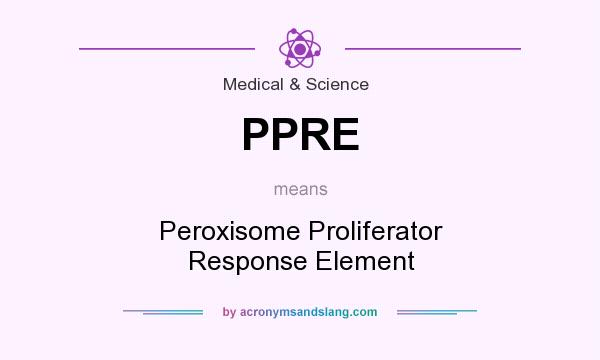 What does PPRE mean? It stands for Peroxisome Proliferator Response Element