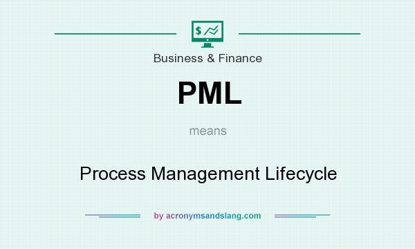 What does PML mean? It stands for Process Management Lifecycle