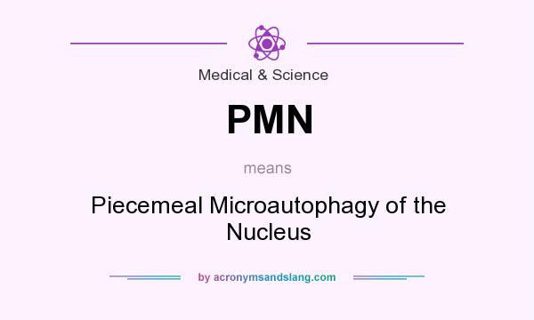 What does PMN mean? It stands for Piecemeal Microautophagy of the Nucleus