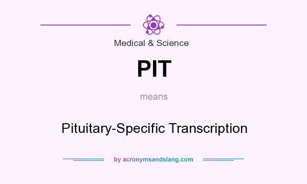 What does PIT mean? It stands for Pituitary-Specific Transcription