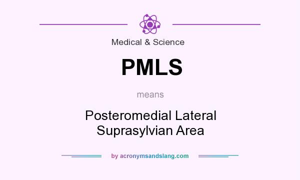 What does PMLS mean? It stands for Posteromedial Lateral Suprasylvian Area