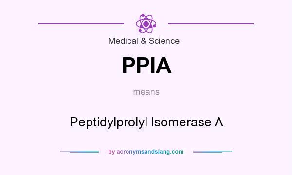 What does PPIA mean? It stands for Peptidylprolyl Isomerase A