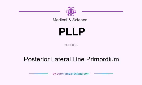 What does PLLP mean? It stands for Posterior Lateral Line Primordium