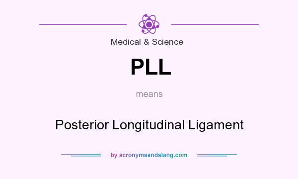 What does PLL mean? It stands for Posterior Longitudinal Ligament